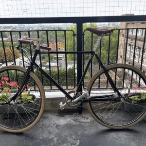 PASHLEY GUVNOR 22.5 bicycle