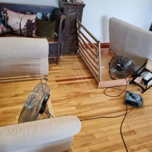 Carpet cleaner - Image 7