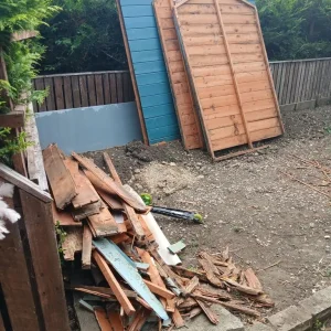 Wood And What's Left of My Shed
