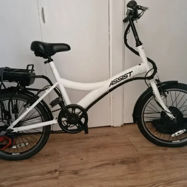 Electric assisted bike