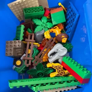 Duplo safari