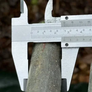 Rally car galvanised sill stands - Image 4