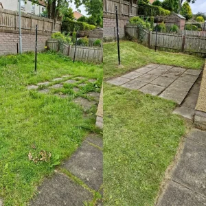 Gordon's Garden Services - Image 8