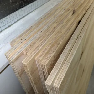 Plywood Soft Shuttering, 12 x 2440 x 1220 mm (x9)
