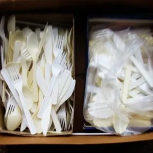 Plastic Knives Forks and Spoons