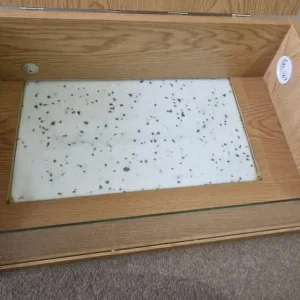 HabiStat Hatchling Snake Starter Terrainium - Image 2