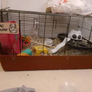 Two hamster cages - Image 2