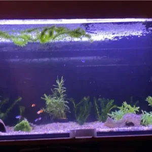 250litre aquarium empty and ready to go - Image 3