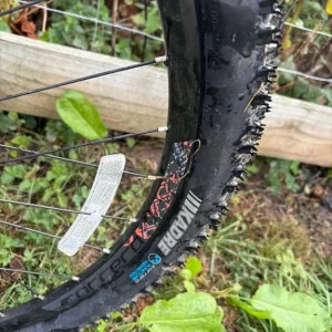 Carrera mountain bike - Image 2