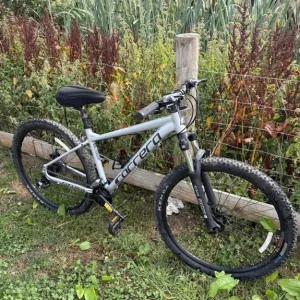 Carrera mountain bike
