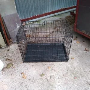 dog cage