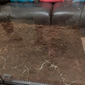 60x45x45cm terrarium - Image 3