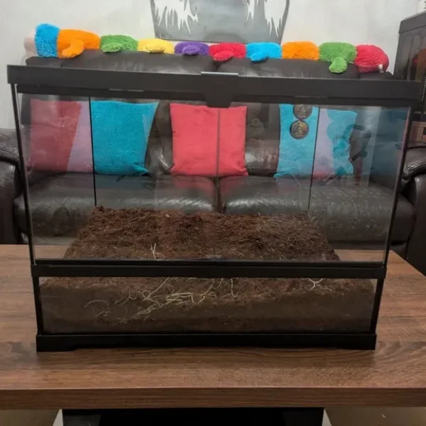 60x45x45cm terrarium