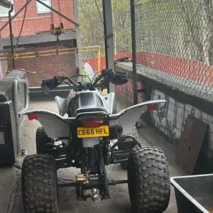 Quadzilla 300 LV 2015 288cc - Image 2