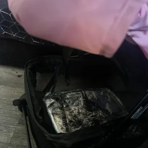 Puggle pushchair new - Image 3