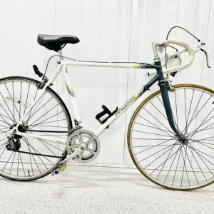 Uo RALEIGH Size/M 10 Speed Road Bike Super LW Fully Serviced