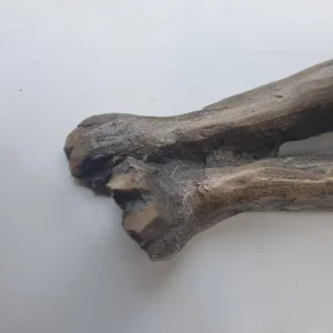 Bronze Cat Figurine - Image 3