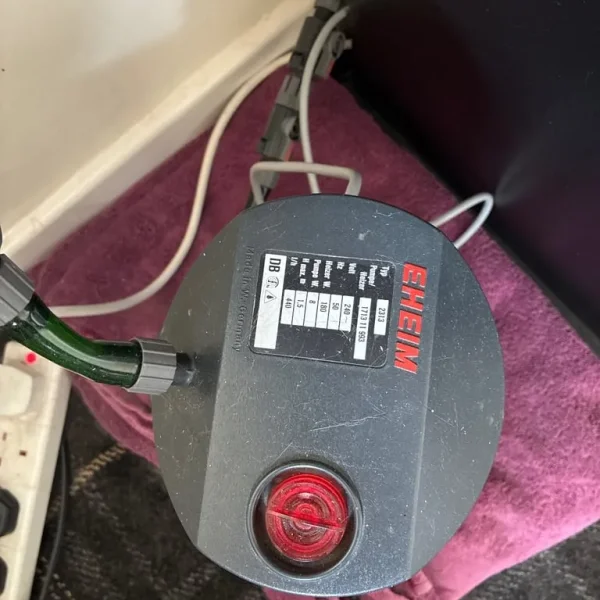 eheim 2313 thermofilter