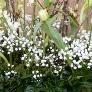 Luxury Bespoke Flowers - Image 2