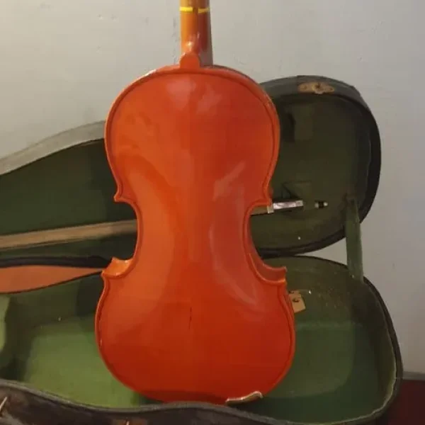 Violin