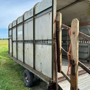 Cattle /sheep trailer - Image 2