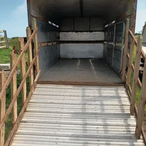 Cattle /sheep trailer - Image 3