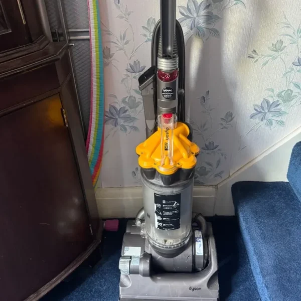 Dyson dc33