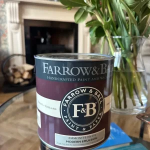 New Farrow & Ball Ammonite