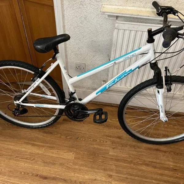 Falcon Orchard Girls/ ladies bike in excellent condition.