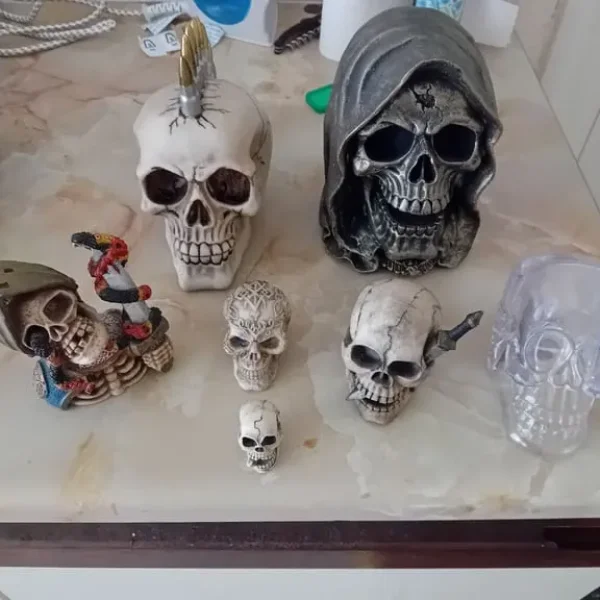 Various size skulls