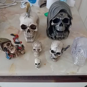 Various size skulls