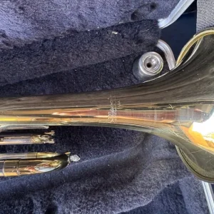 Blessing trumpet - Image 6