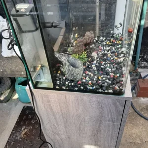 fish tanks