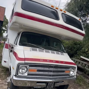 1977 American camper cobra
