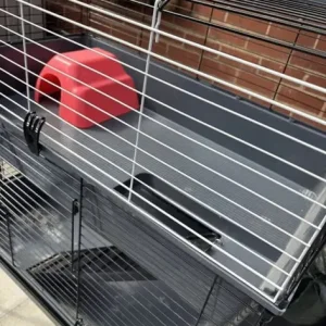 guinea pig cage - Image 3