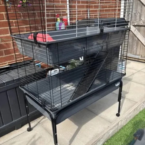 guinea pig cage