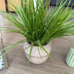 Various items - household - Image 7