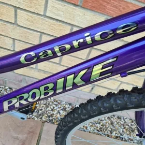 Ladies Girls Caprice Pro Mountain Bike Purple 24in Wheels 18in Frame 3x6 Gears - Image 7