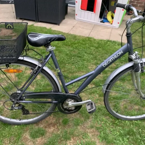 Adult bike ( can deliver for free )
