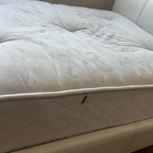 Single bed and mattress - Image 4