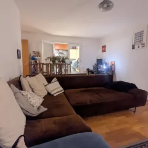 Brown L shaped Sofa