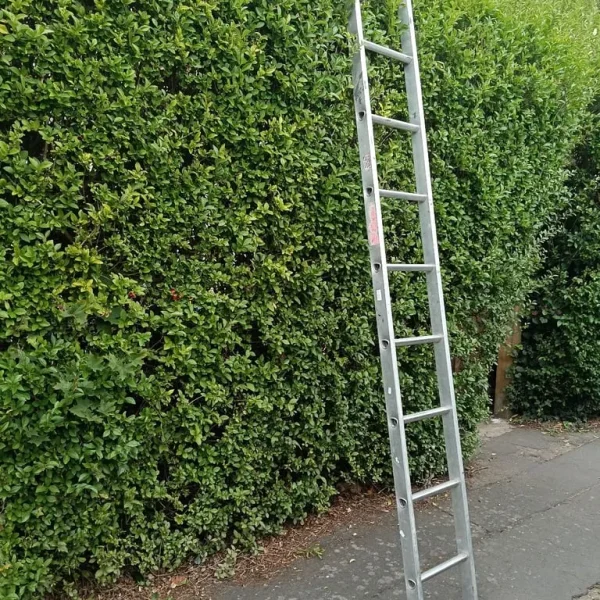 Single ladder feel free to contact me