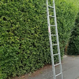 Single ladder feel free to contact me
