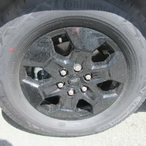 Bailey Adamo 69-4 - Image 7