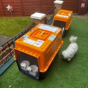 Aircraft Pet Crates Airline Approved International Flights