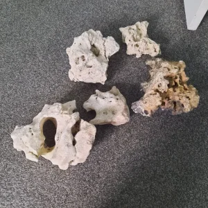 Fish tank ocean rock