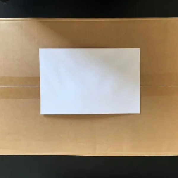 1,100 ENVELOPES