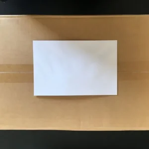 1,100 ENVELOPES