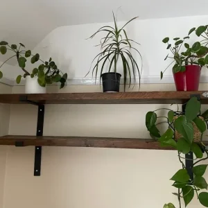 Reclaimed wood shelving - Image 2