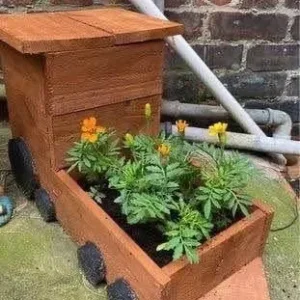 🌷Garden train planter🌹